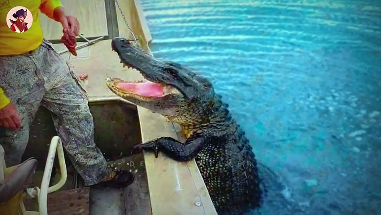 15 gefährliche Tiere beim Versuch, freundlich zu sein!