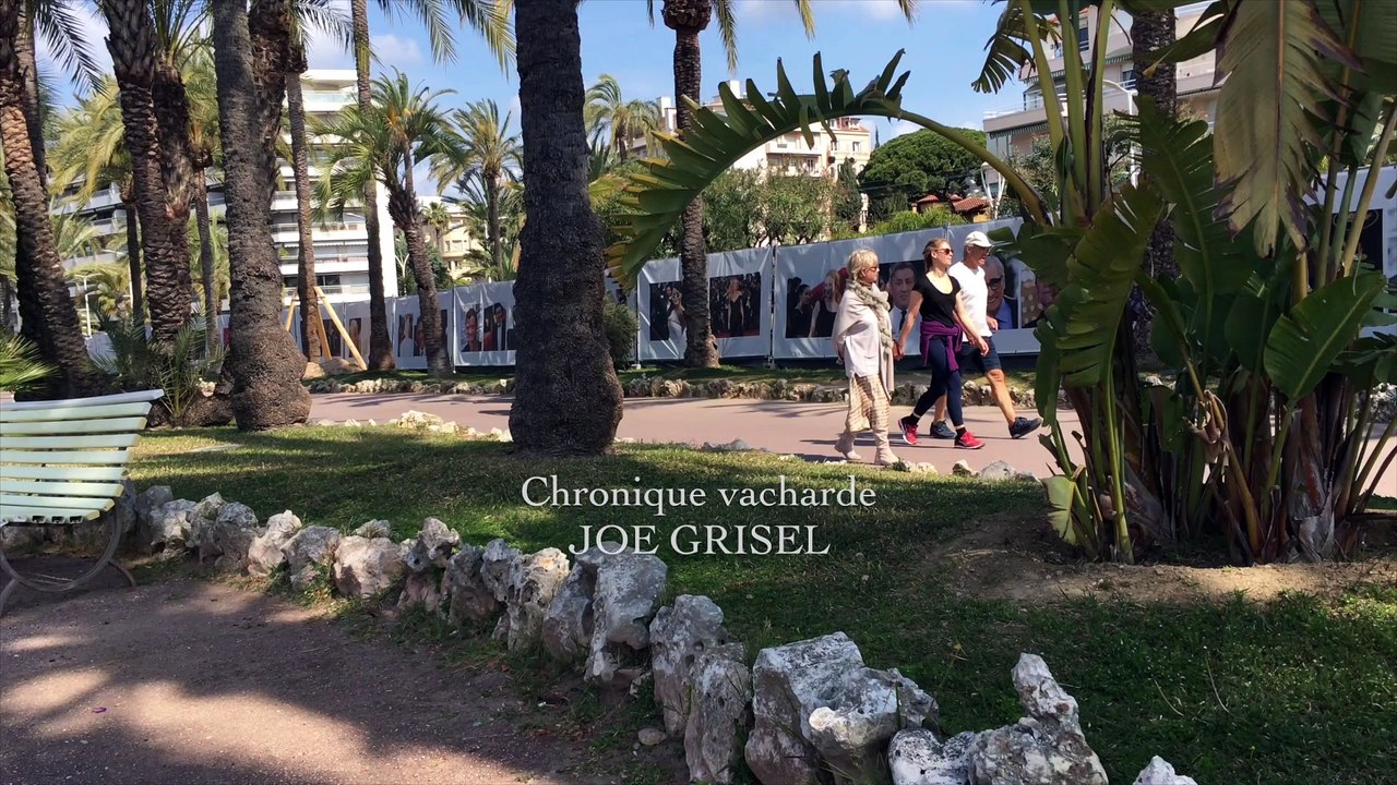 Les Chocottes des troupes Russe