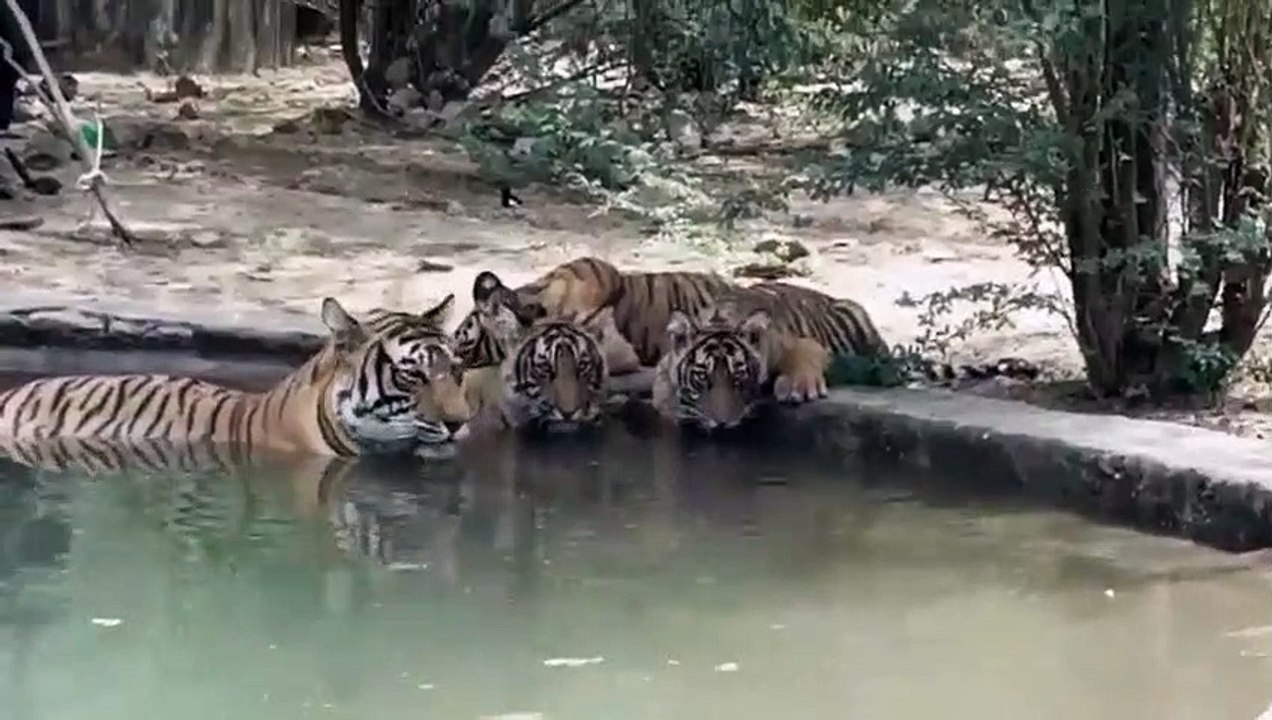 सालों बीते अब तक नहीं हो सका इंटर स्टेट ट्रांसलोकेशन