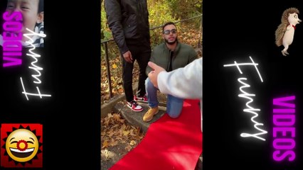 053 Laugh Out Loud Hilarious Videos Guaranteed to Make You Smile