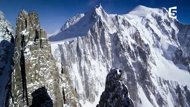 Aigle royal le maître des Alpes - ZAPPING SAUVAGE