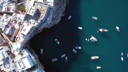 Mind Relaxition Sound | World of Animals - 1080p - Scenic Wildlife Film With Calming Music, Relaxing Music.