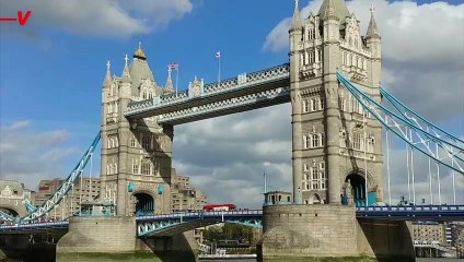 Woman Dead After Getting Hit By Duchess of Edinburgh's Royal Motorcade