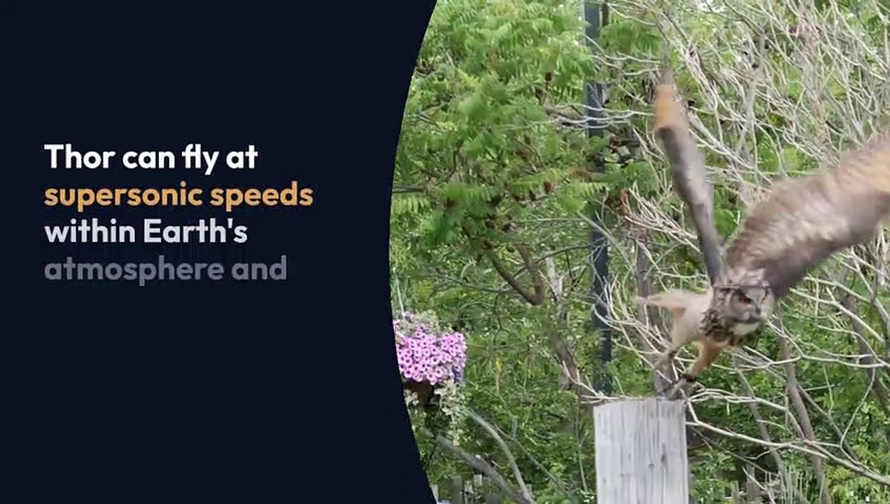 Facts About Ray stevens Revealed