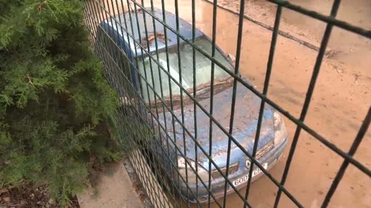 Las consecuencias de las lluvias: daños materiales y alivio en el campo