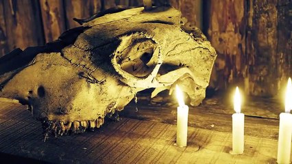 Cin Hikayeleri Kayıp Bebek Fragman