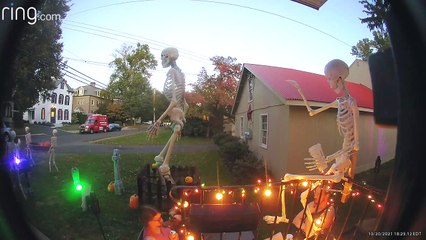 Le chien retire la femme de chaise