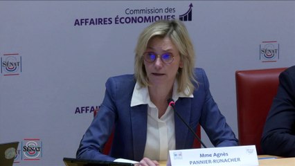 Audition Agnès Pannier-Runacher