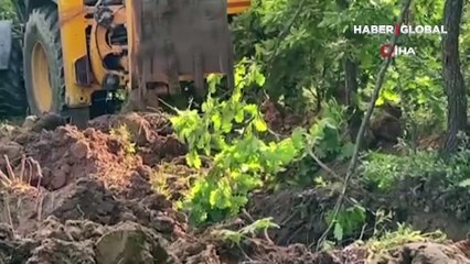 İstanbul'da 5 kişilik cinayet vahşetine ilişkin arama çalışması yürütülüyor