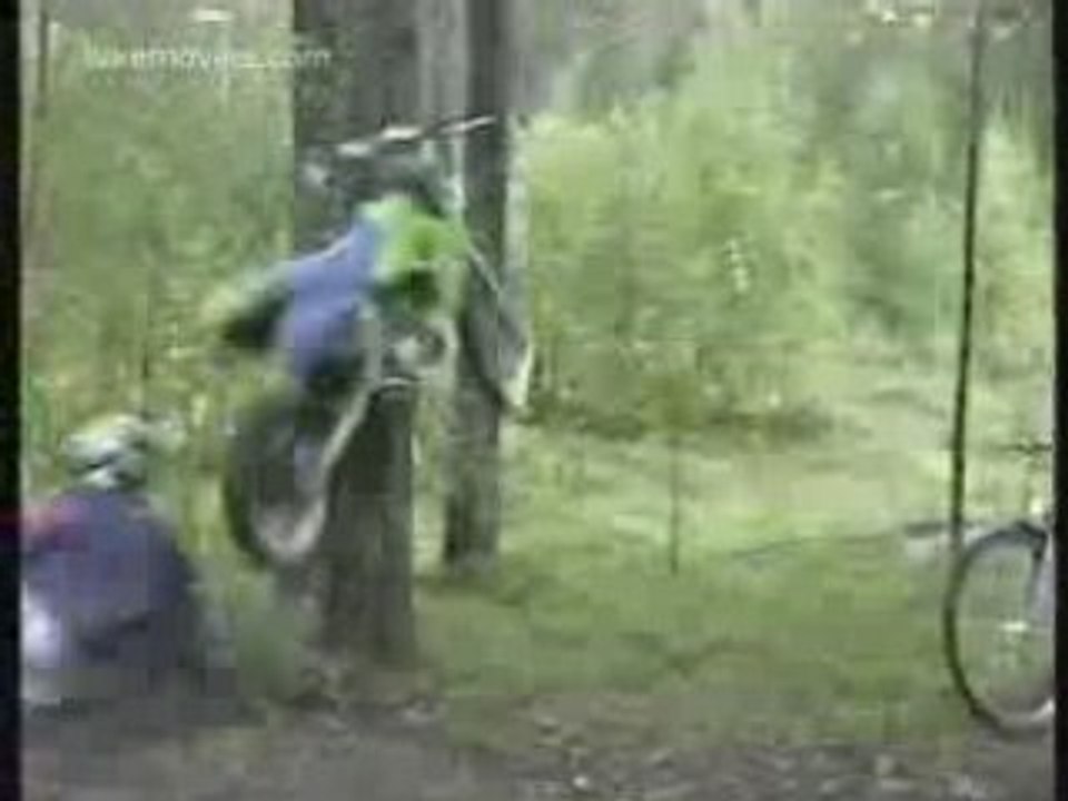 Funny Videos - Motorcycle crashes into tree