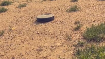 Over-efficient robot mop gets damaged while trying to tidy up crusty ground