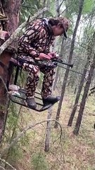 L'ours noir tache les chasseurs dans l'arbre