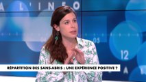 Charlotte d'Ornellas : «Les grands absents de tous ces projets, ce sont les élus locaux et les Français»