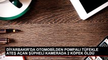 DİYARBAKIR'DA OTOMOBİLDEN POMPALI TÜFEKLE ATEŞ AÇAN ŞÜPHELİ KAMERADA 2 KÖPEK ÖLDÜ