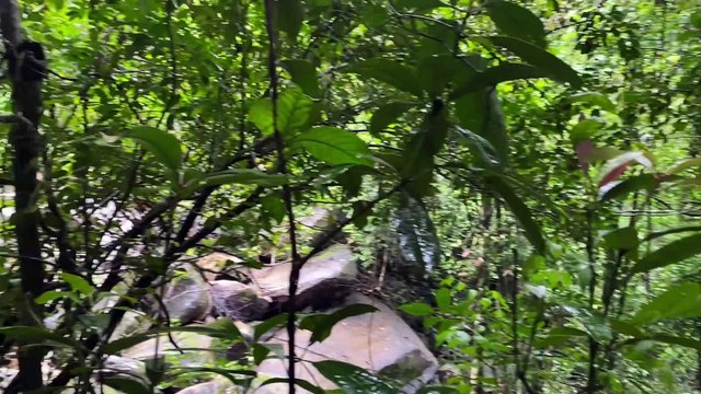 A surpreendente CACHOEIRA DA TIRIRICA em Alagoas; COMO CHEGAR? ONDE FICA? O QUE FAZER?