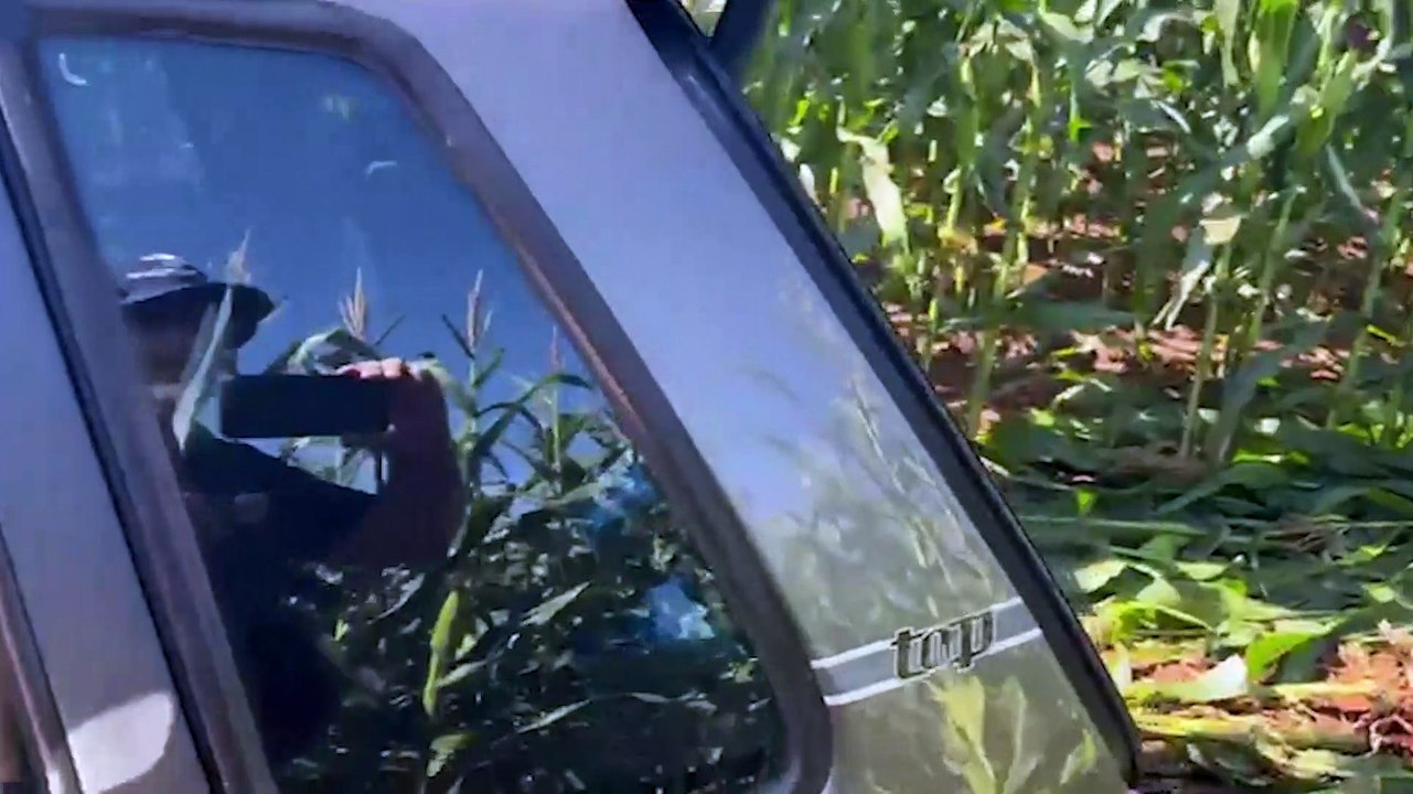 Após perseguição Receita Federal apreende veículo transportando R$ 100 mil em cigarros eletrônicos