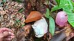 Búsqueda de los niños perdidos en la selva colombiana: hallazgo de nuevos objetos llena de esperanza a las autoridades
