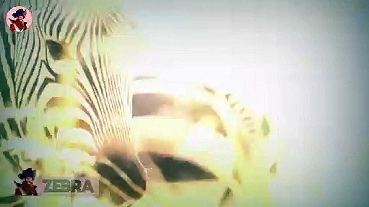 15 neugierige Gepardenjunge auf der Jagd