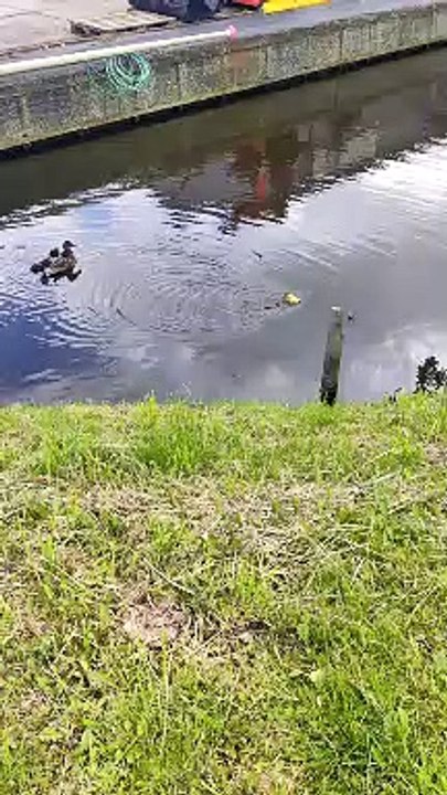 Odd One Out