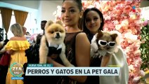 Mascotas lucen los looks más icónicos de la Met Gala