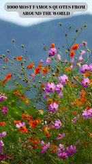 273-276.Quote Gems: Bite-Sized Inspiration for Daily Motivation.Quotes to Energize Your Day!#ENJOY!