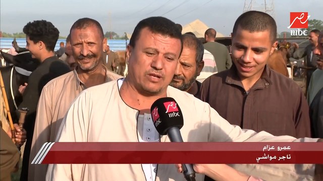 يحدث في مصر يرصد آراء تجار المواشي في أسباب ارتفاع أسعار اللحوم
