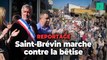 À Saint-Brévin, une marche contre « la violence et la bêtise » de l’extrême droite
