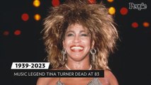 Queen of Rock 'n' Roll Tina Turner Dead at 83 After 'Long Illness': Rep