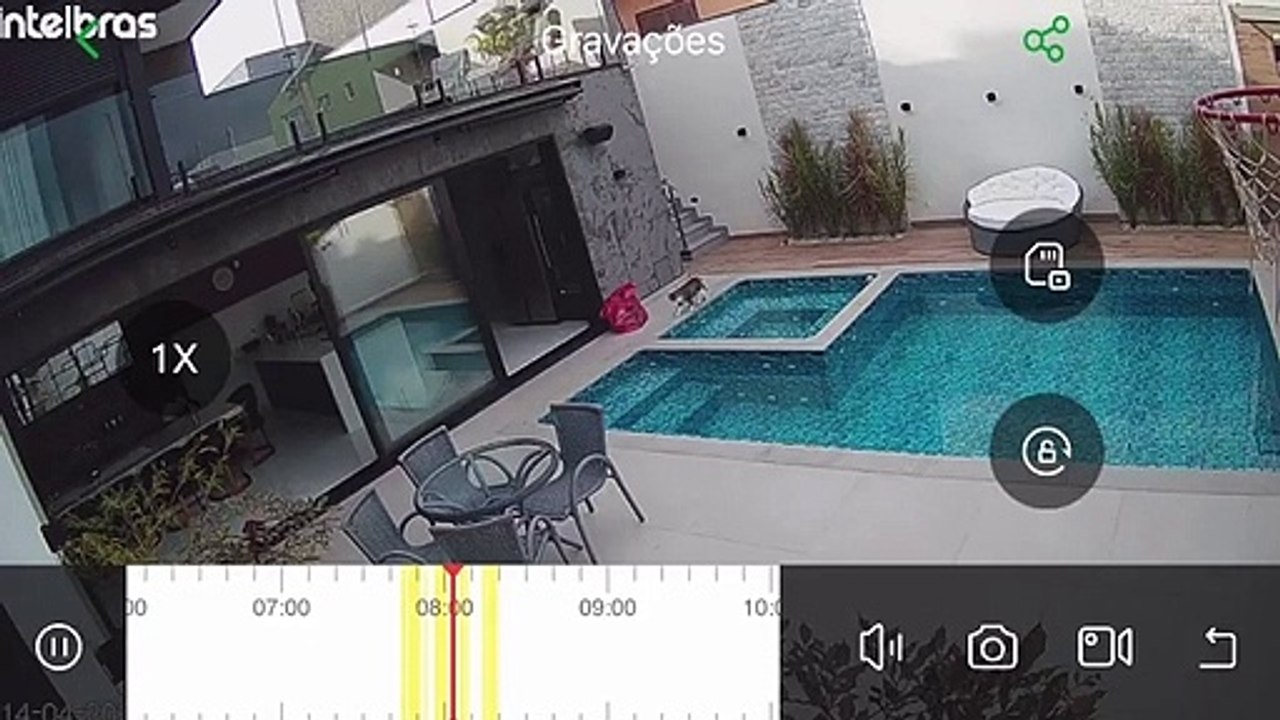 My Kitty Who Learned to Dive