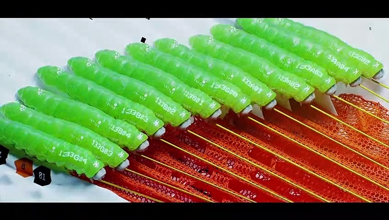 Marathon Announce Trailer PS5 & PC