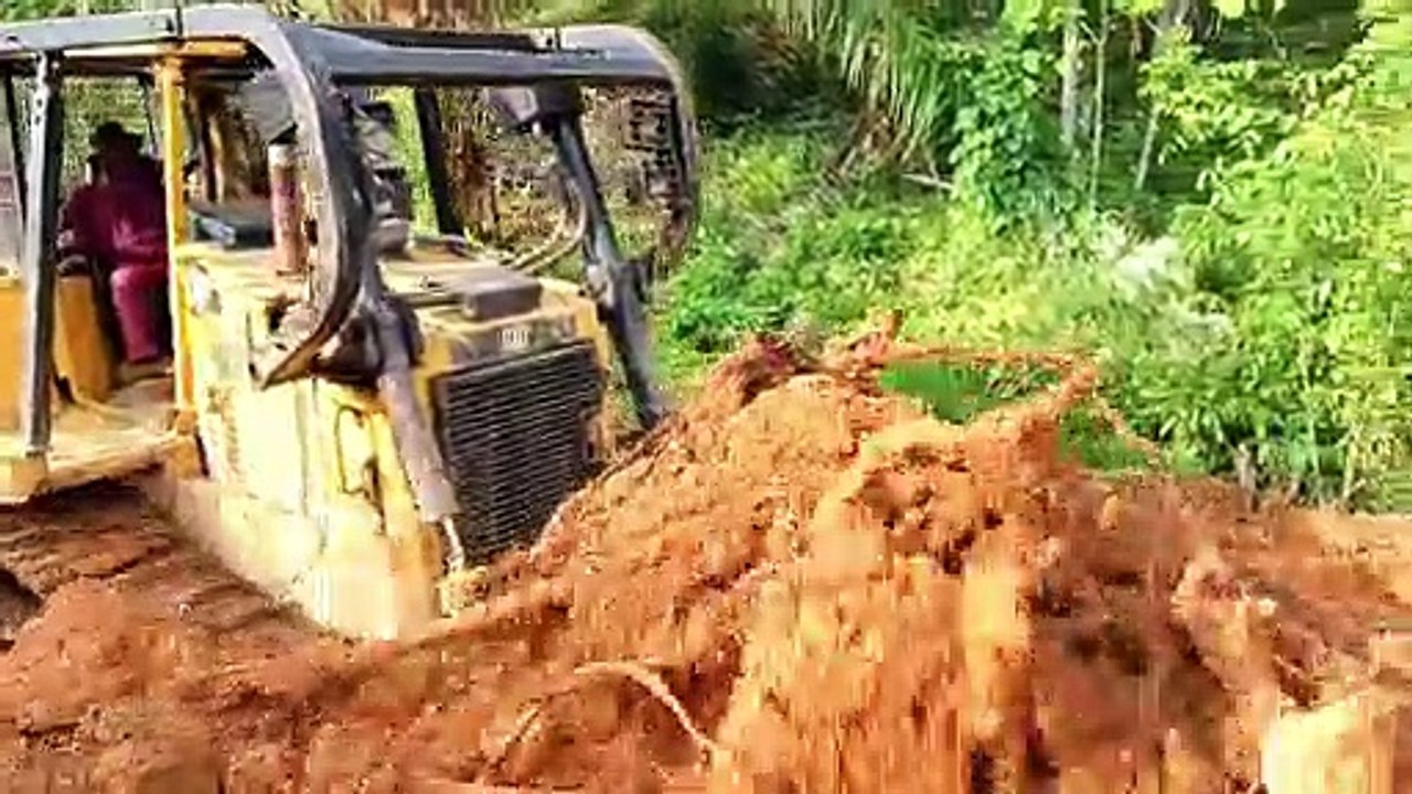 Bulldozers D6R XL Form Roads in Oil Palm Plantations