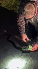 Man Saves Snake Stuck in Can