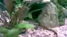 mon aquarium 2