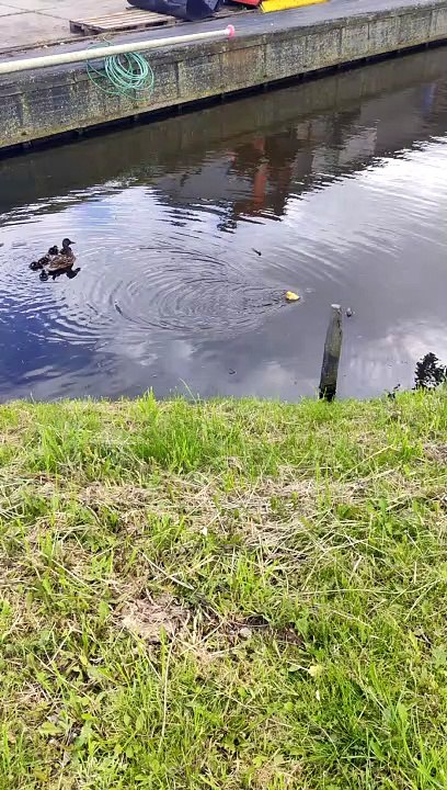 Odd One Out