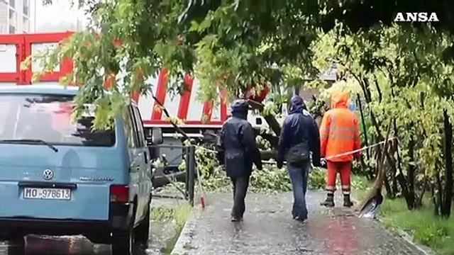 Emilia-Romagna, strage di alberi da frutto: 10 milioni da estirpare