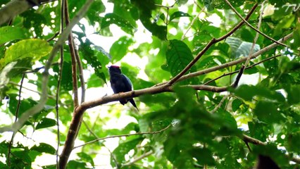 Mindfulness Music for Self-Care