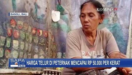 Download Video: Mahalnya Harga Pakan Jadi Kendala, Operasi Pasar untuk Rem Kenaikan Harga Telur Diperlukan?