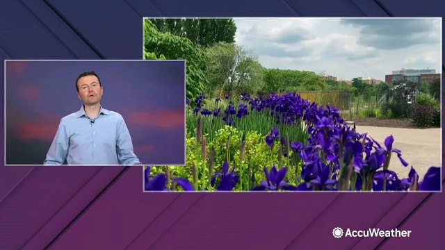 Your AccuWeather allergy forecast for May 25-27