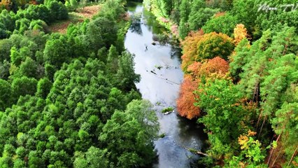 Healing Music for Inner Peace and Joy