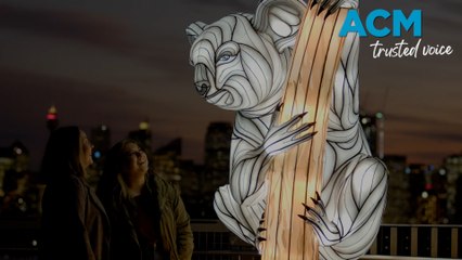 Dubbo artist Nathan Peckham gets involved in Vivid Sydney 2023