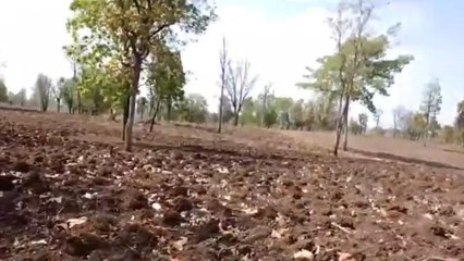 बुरहानपुर कलेक्टर ने चलाया विशेष अभियान, अतिक्रमणकारियों पर होगी कार्रवाई