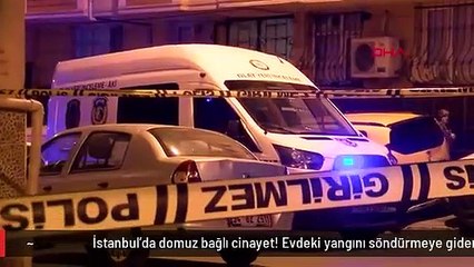 İstanbul'da domuz bağlı cinayet! Evdeki yangını söndürmeye giden ekipler cansız bedenini buldu