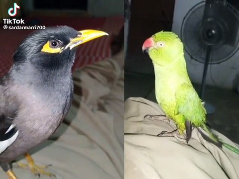 Allah ki Shan ya charia kasa Allah kai tasbi Karti ha