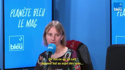 Katia Astafieff : "on a découvert que les plantes pouvaient entendre !"