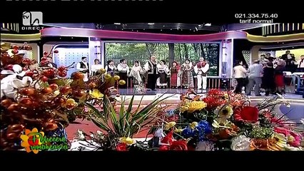 Nelu Balasoiu - Tu, mama cand m-ai facut (Petrecere romaneasca - Tvh - 08.03.2015)