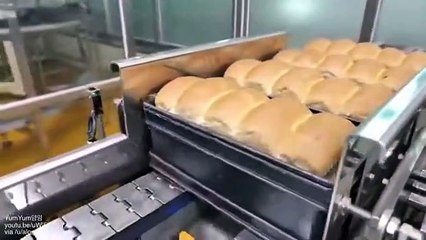 Bread Making Automation #shorts #viral #shortsvideo #video #innovationhub