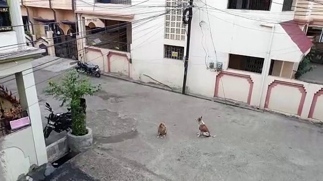 Weather Update: नौतपा के पहले दिन झमाझम बारिश, देखें वीडियो