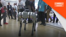 Robot anjing, gabungan Revolusi Industri 4.0 dan kecerdasan buatan 'AI'