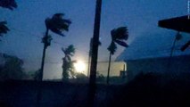 Palm trees sway in wind as Typhoon Mawar hits Guam