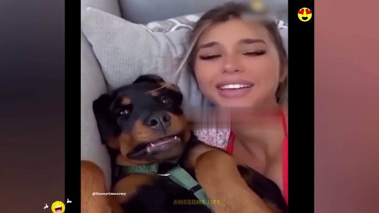 Random Funny Videos Try Not To Laugh Compilation Cute People And Animals